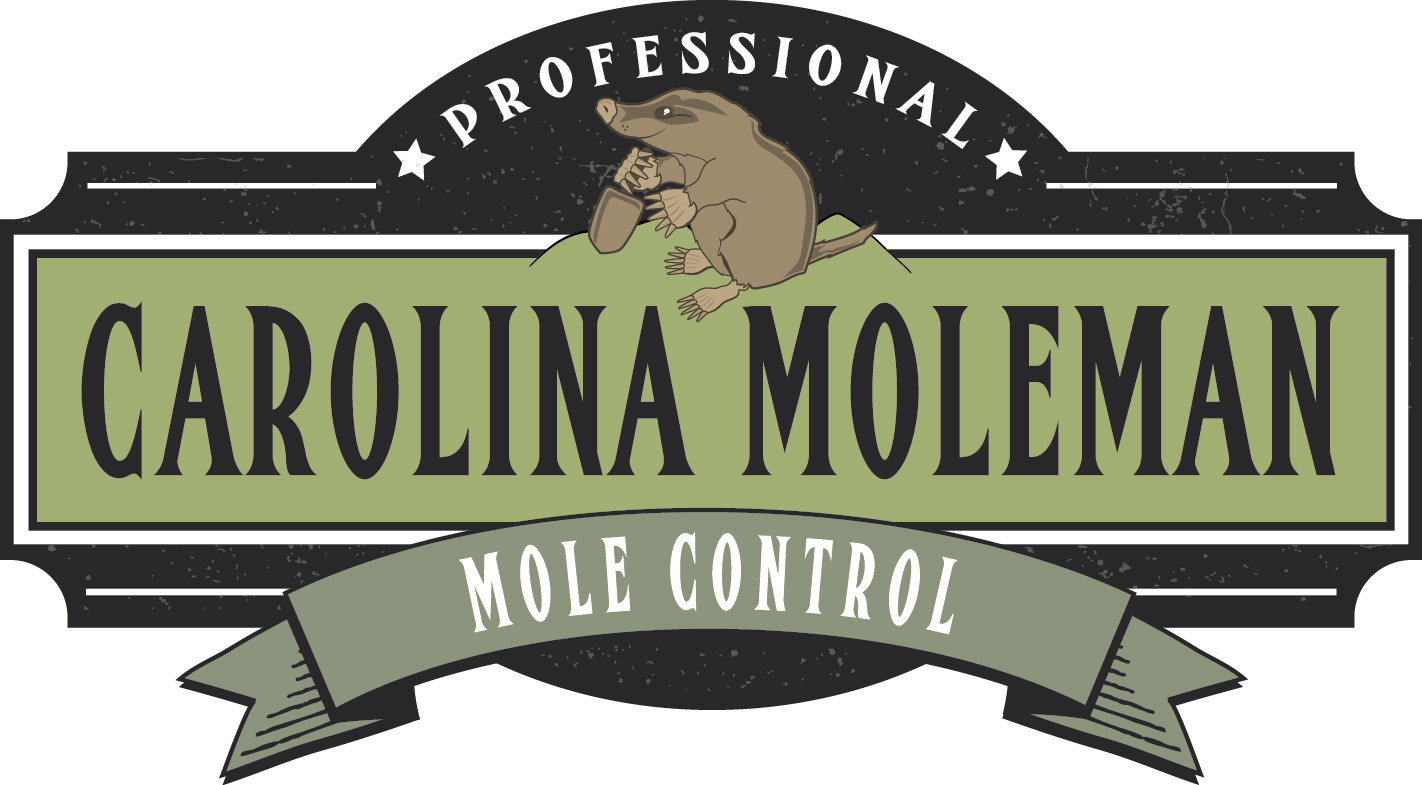 Avatar for Carolina Moleman